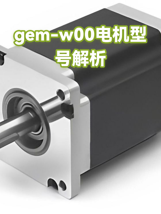 gem-w00电机型号解析（图1）