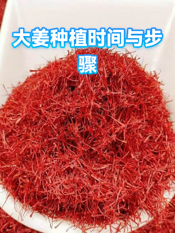 大姜种植时间与步骤（图1）