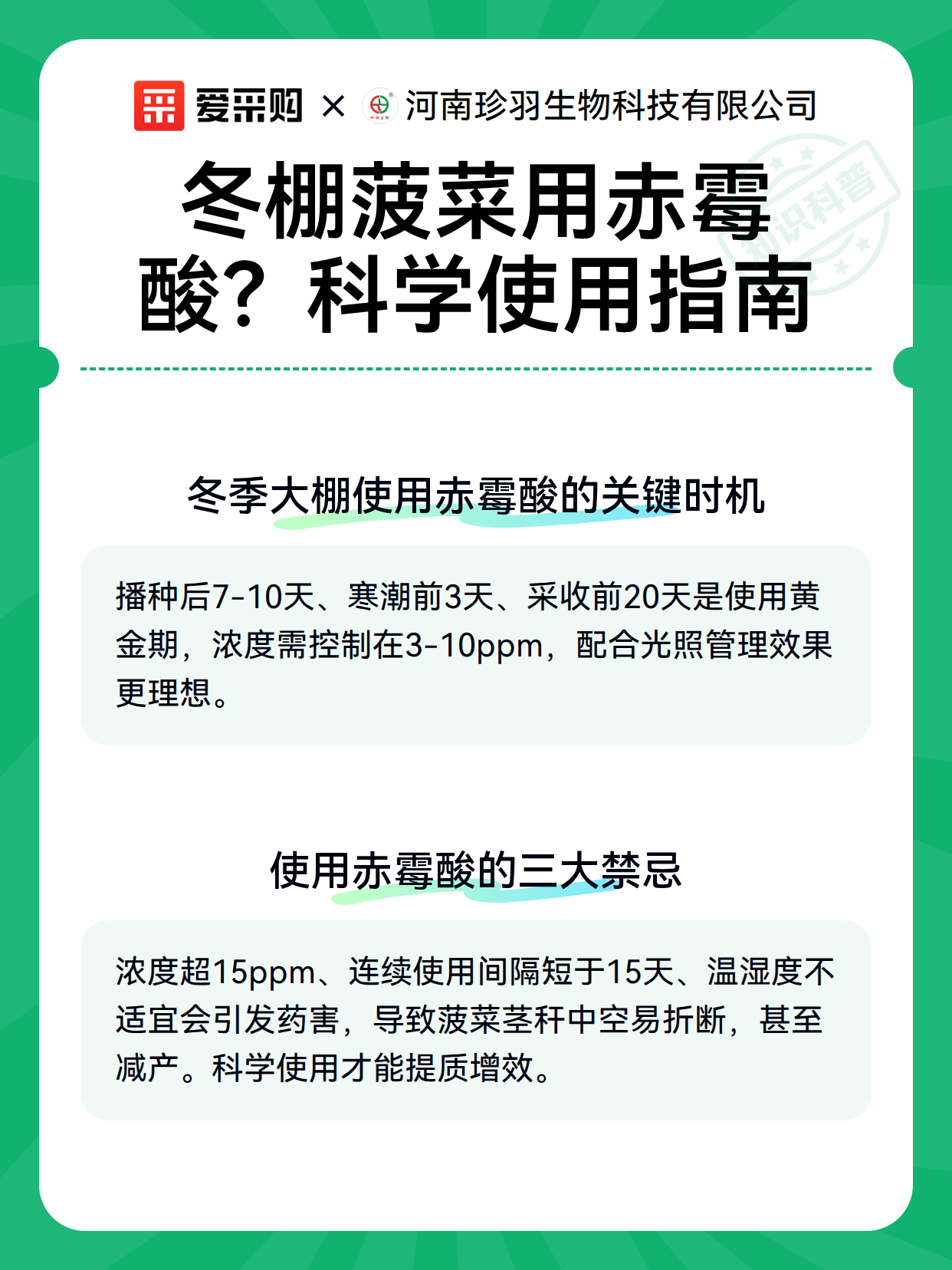冬棚菠菜用赤霉酸？科学使用指南（图3）