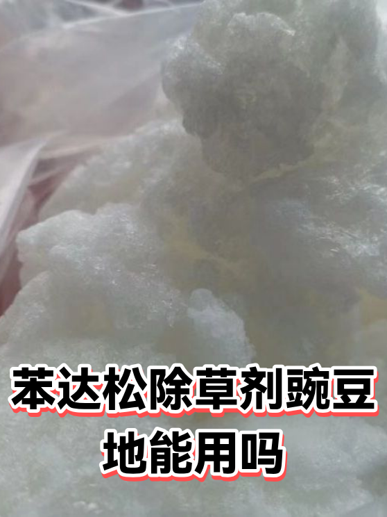 苯达松除草剂豌豆地能用吗（图1）