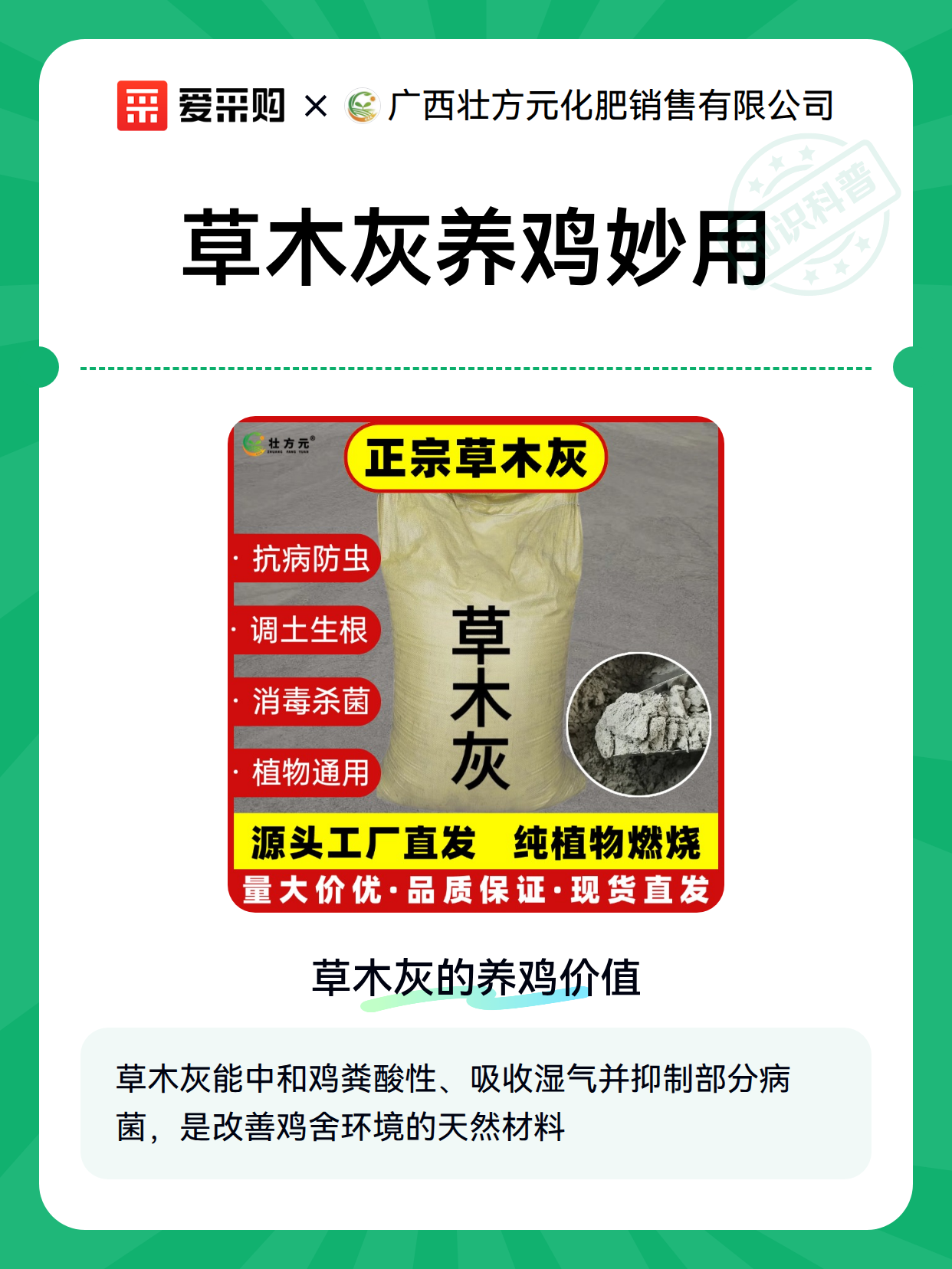 草木灰养鸡妙用（图2）