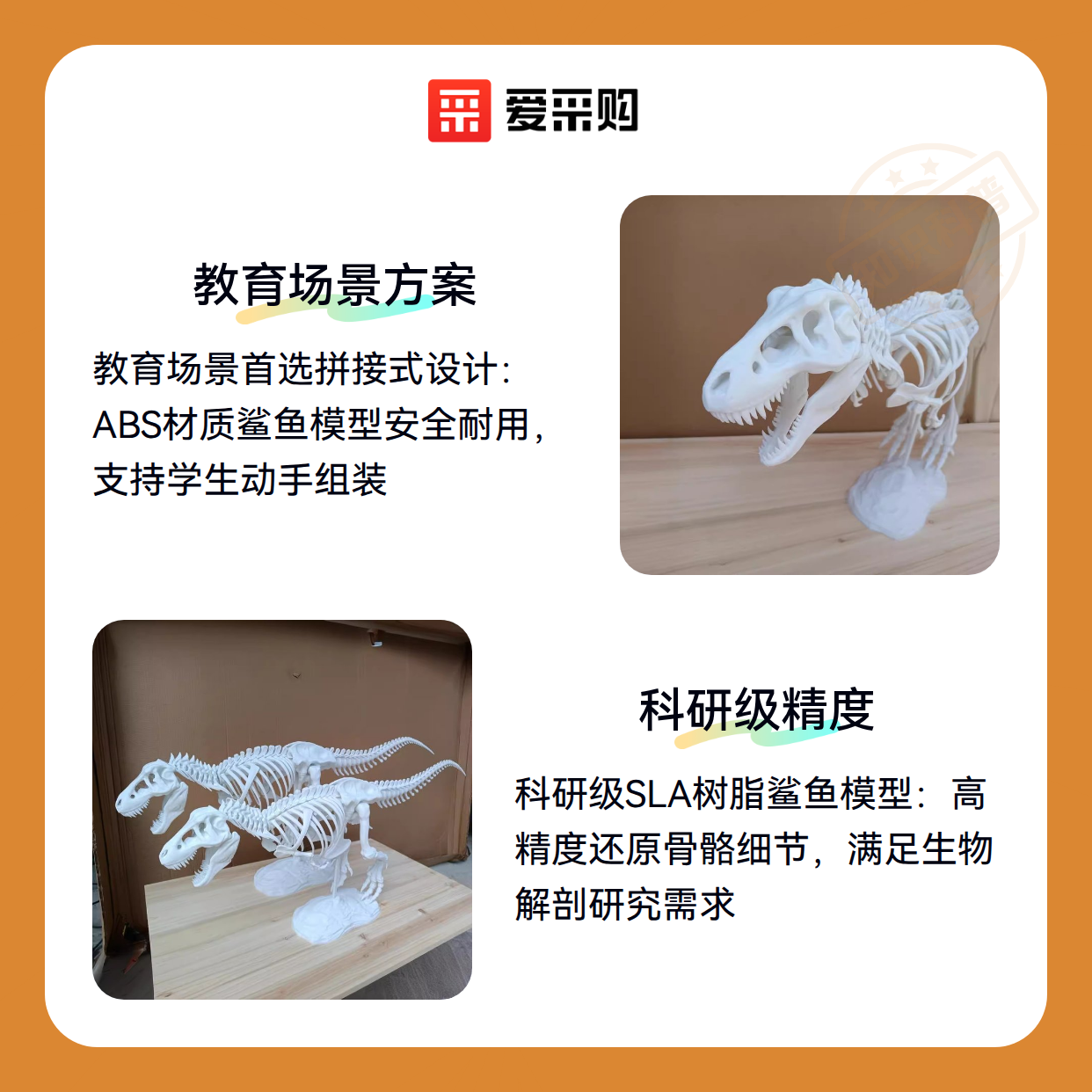 3D打印骨架鲨鱼：如何在不同场景下发挥最大价值？（图2）