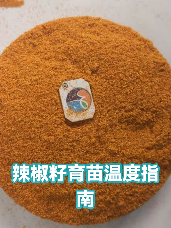 辣椒籽育苗温度指南（图1）