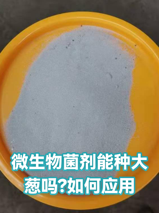 微生物菌剂能种大葱吗?如何应用（图1）