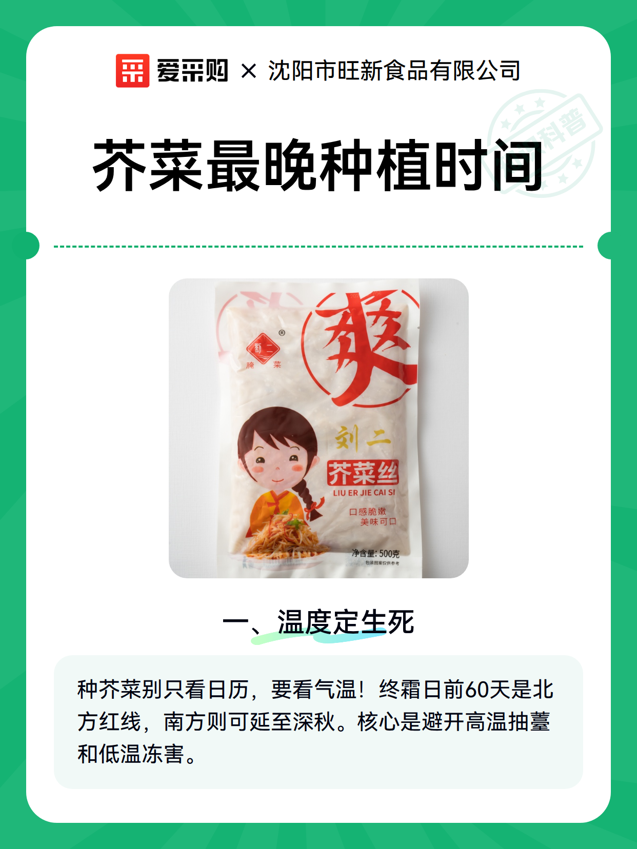 芥菜最晚种植时间（图1）