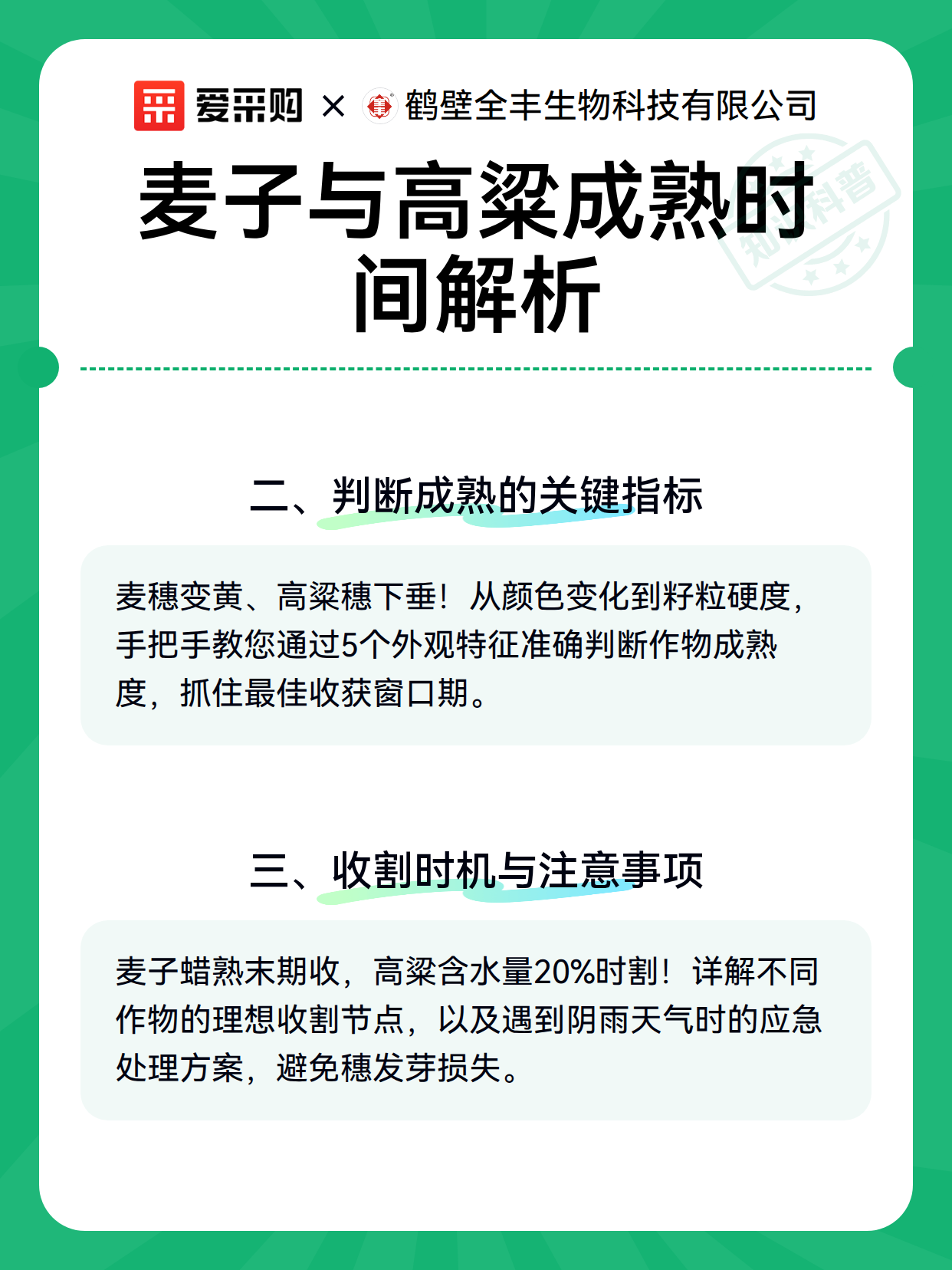 麦子与高粱成熟时间解析（图2）