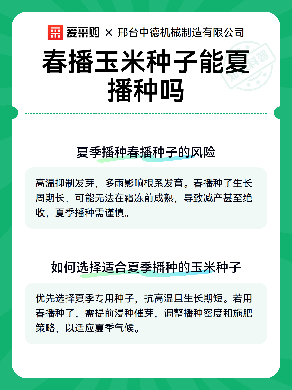 春播玉米种子能夏播种吗（图3）