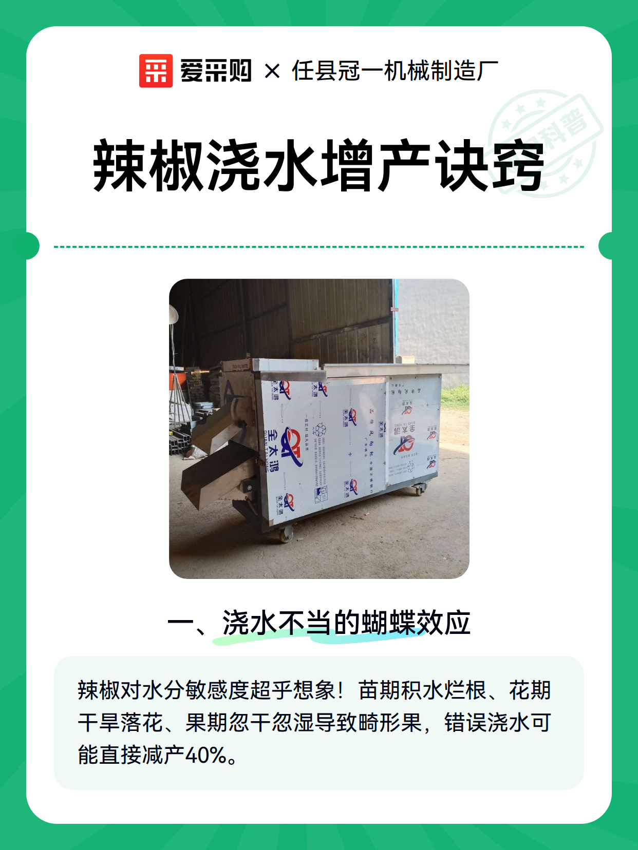 辣椒浇水增产诀窍（图1）