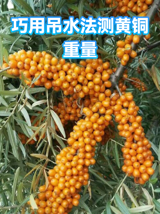 巧用吊水法测黄铜重量（图1）