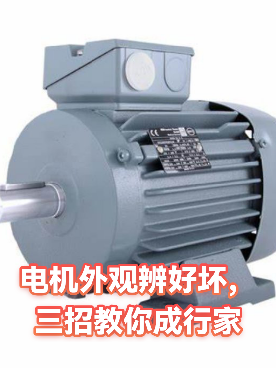 电机外观辨好坏，三招教你成行家（图1）