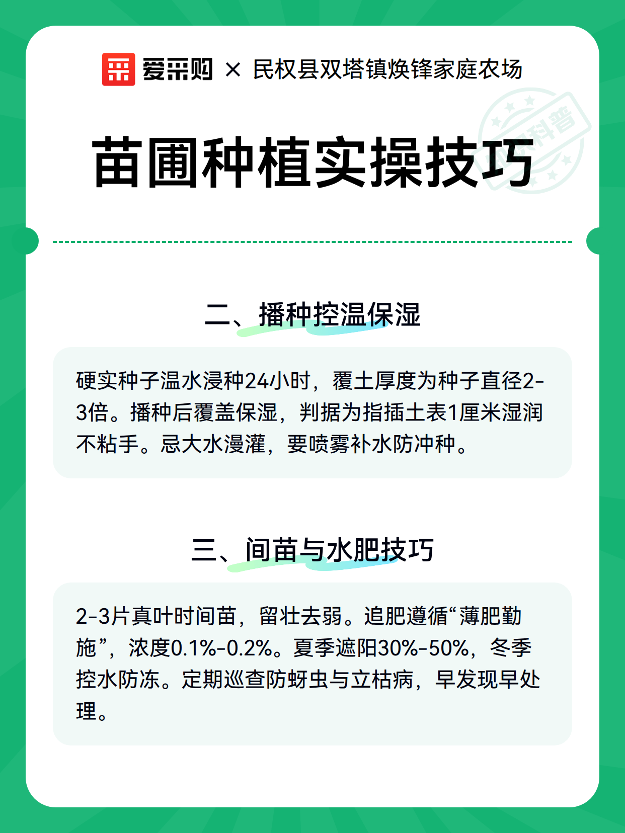 苗圃种植实操技巧（图2）