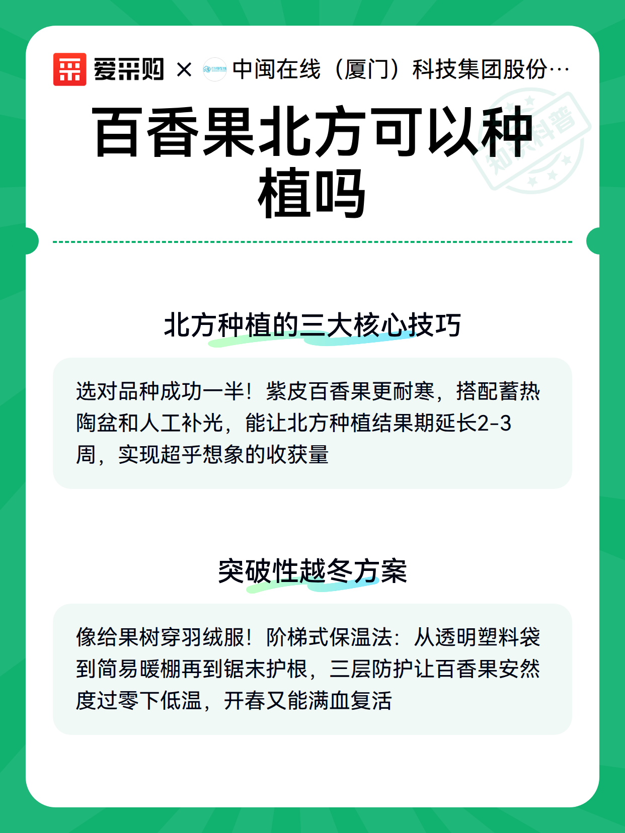 百香果北方可以种植吗（图3）