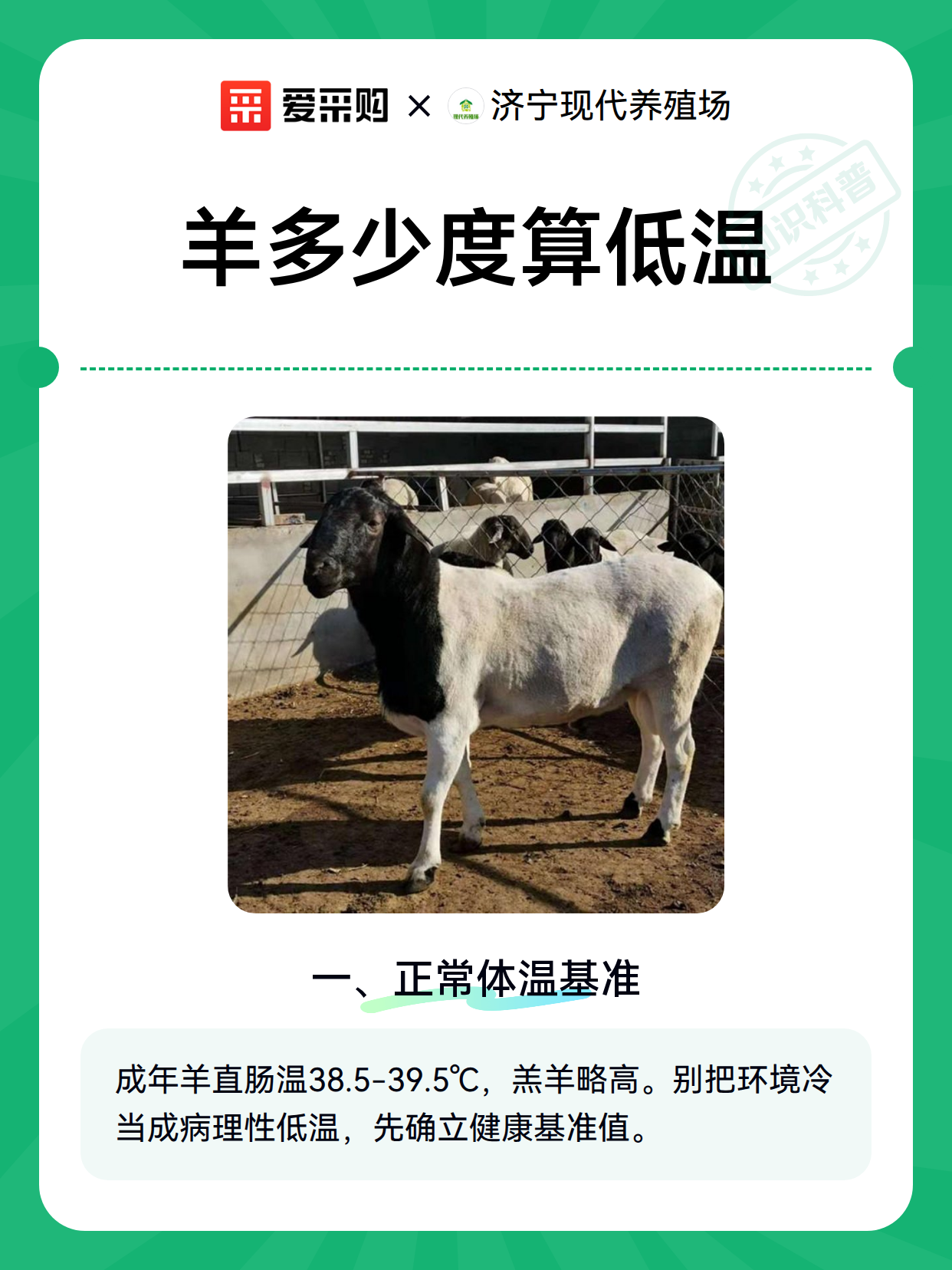 羊多少度算低温（图1）