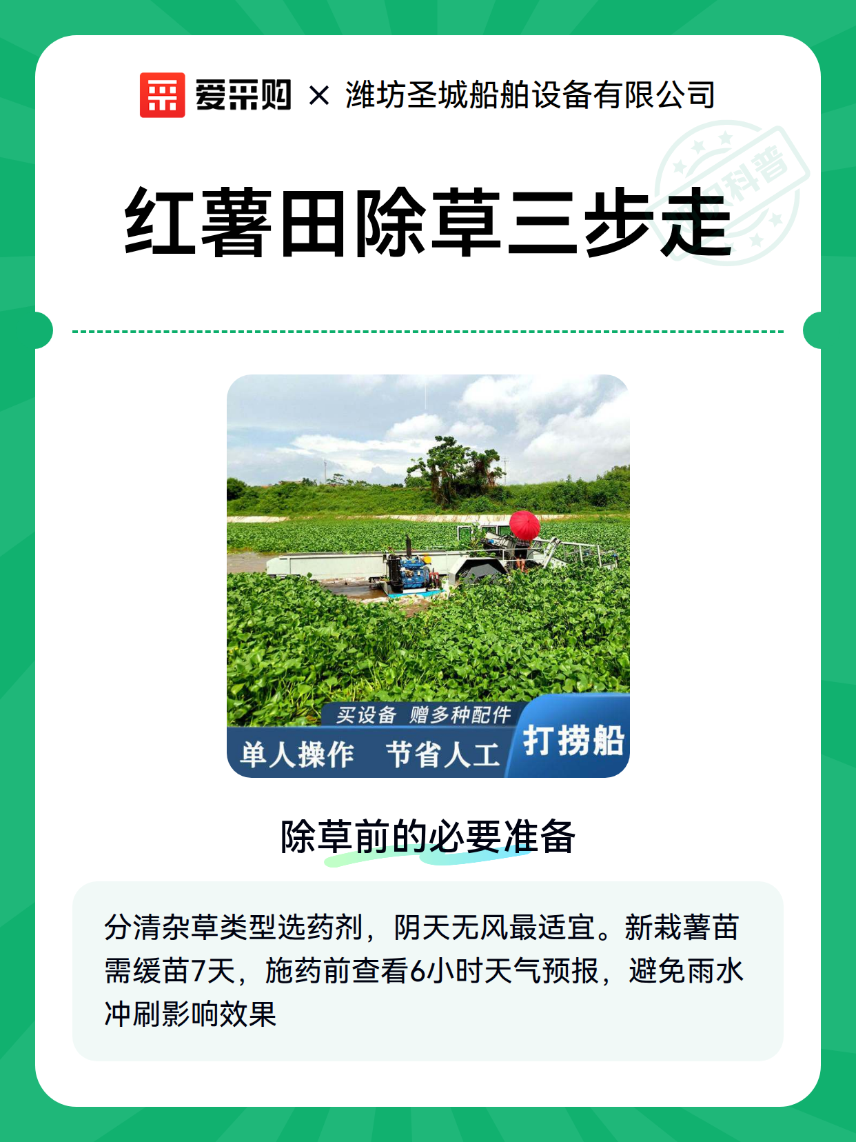 红薯田除草三步走（图1）