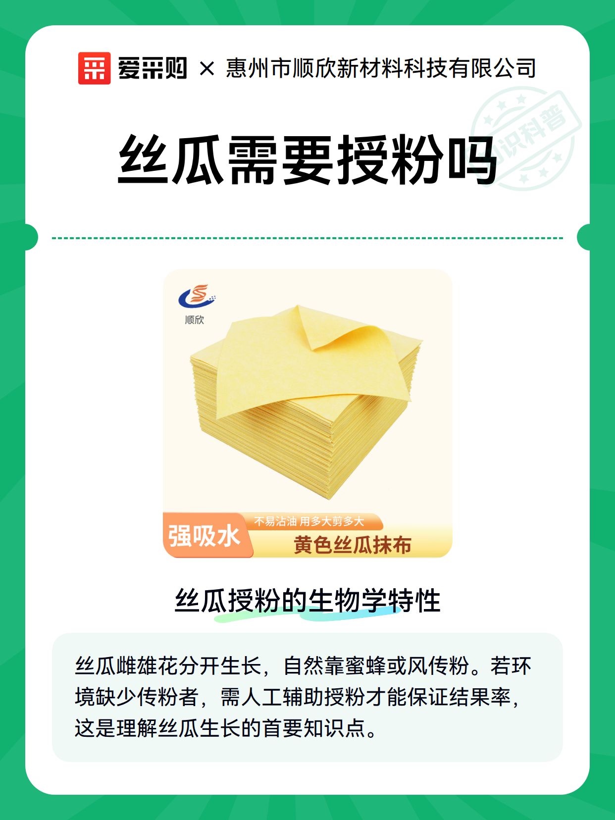 丝瓜需要授粉吗（图1）
