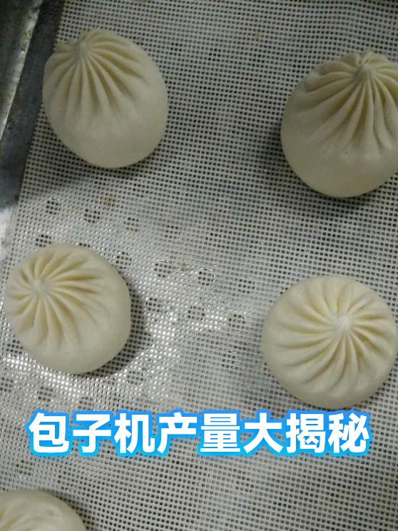 包子机产量大揭秘（图1）