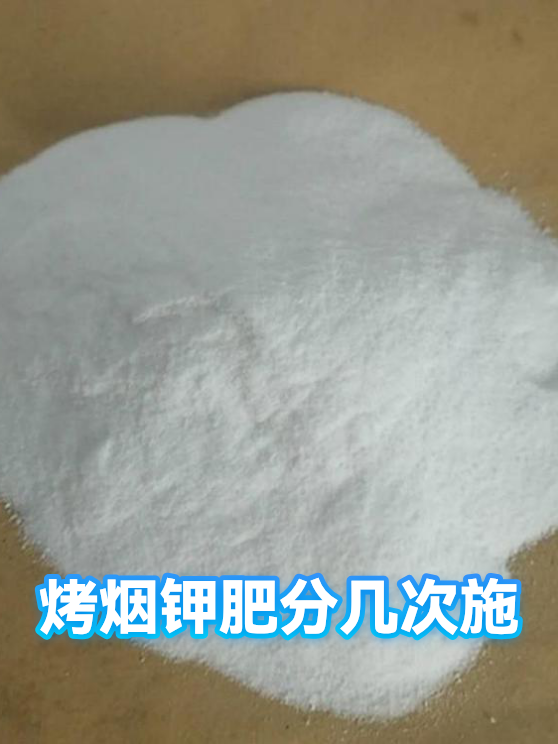 烤烟钾肥分几次施（图1）