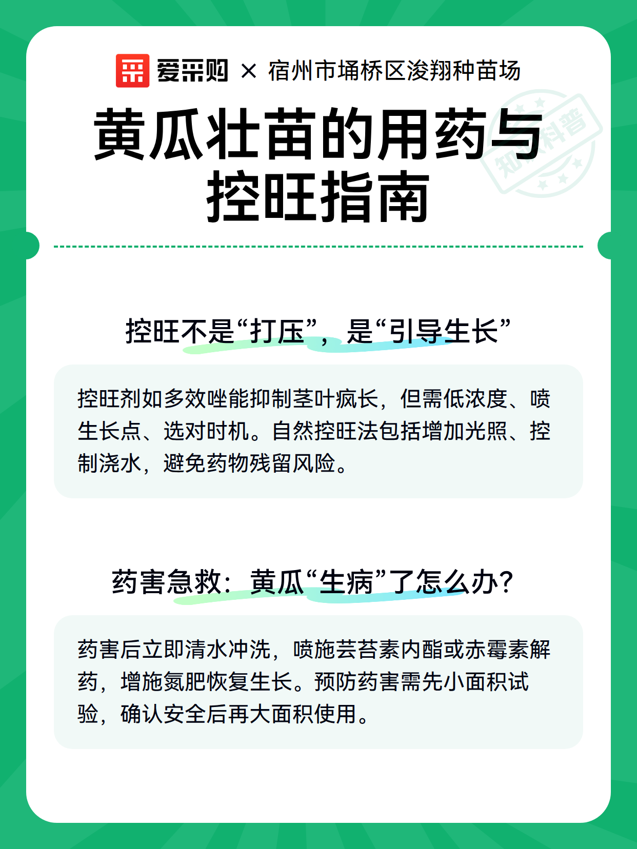 黄瓜壮苗的用药与控旺指南（图3）
