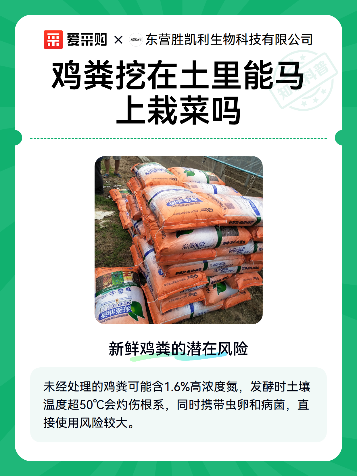 鸡粪挖在土里能马上栽菜吗（图2）