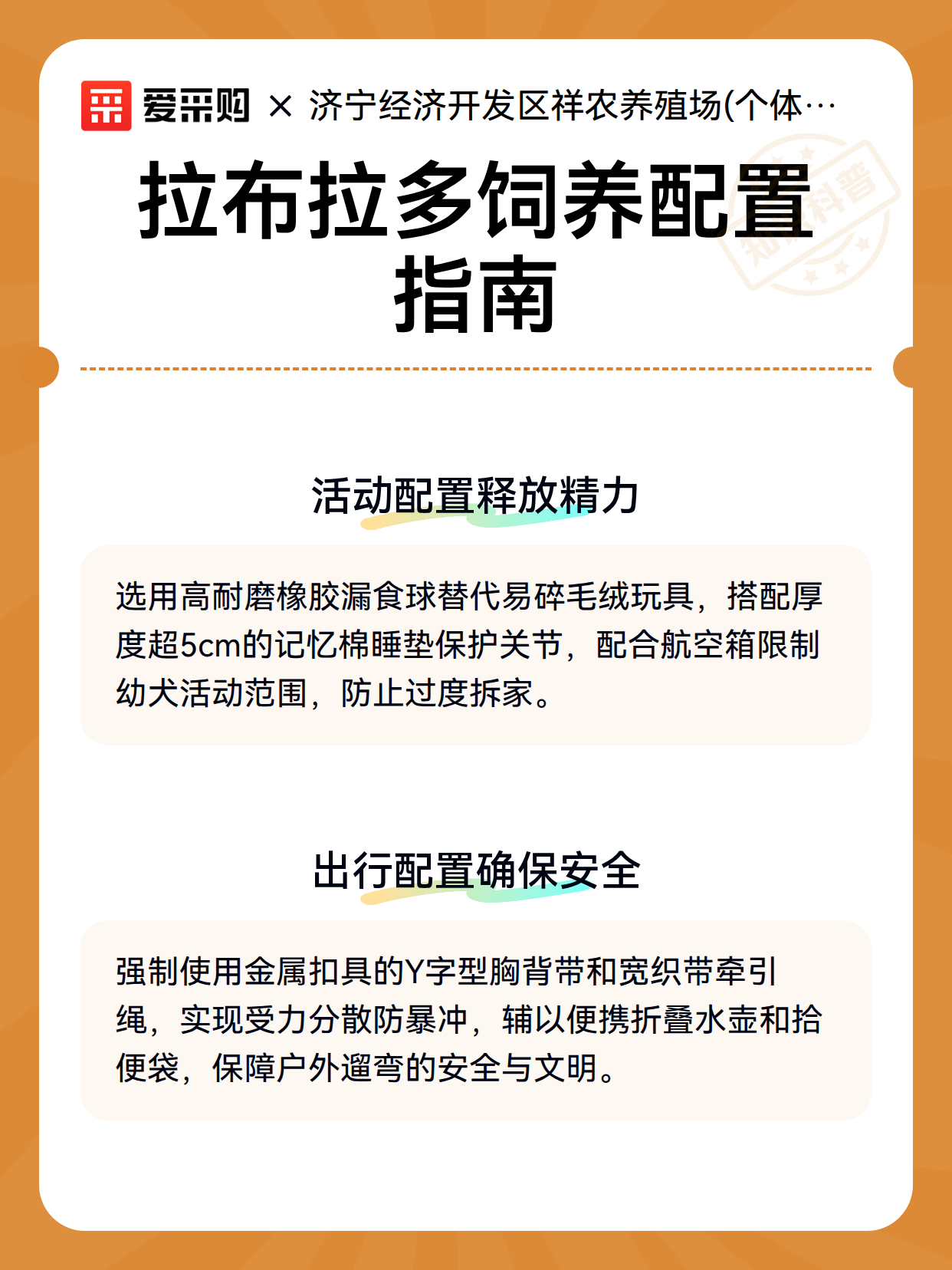 拉布拉多饲养配置指南（图3）