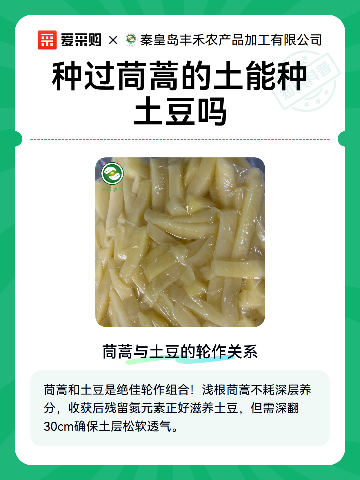 种过茼蒿的土能种土豆吗（图2）