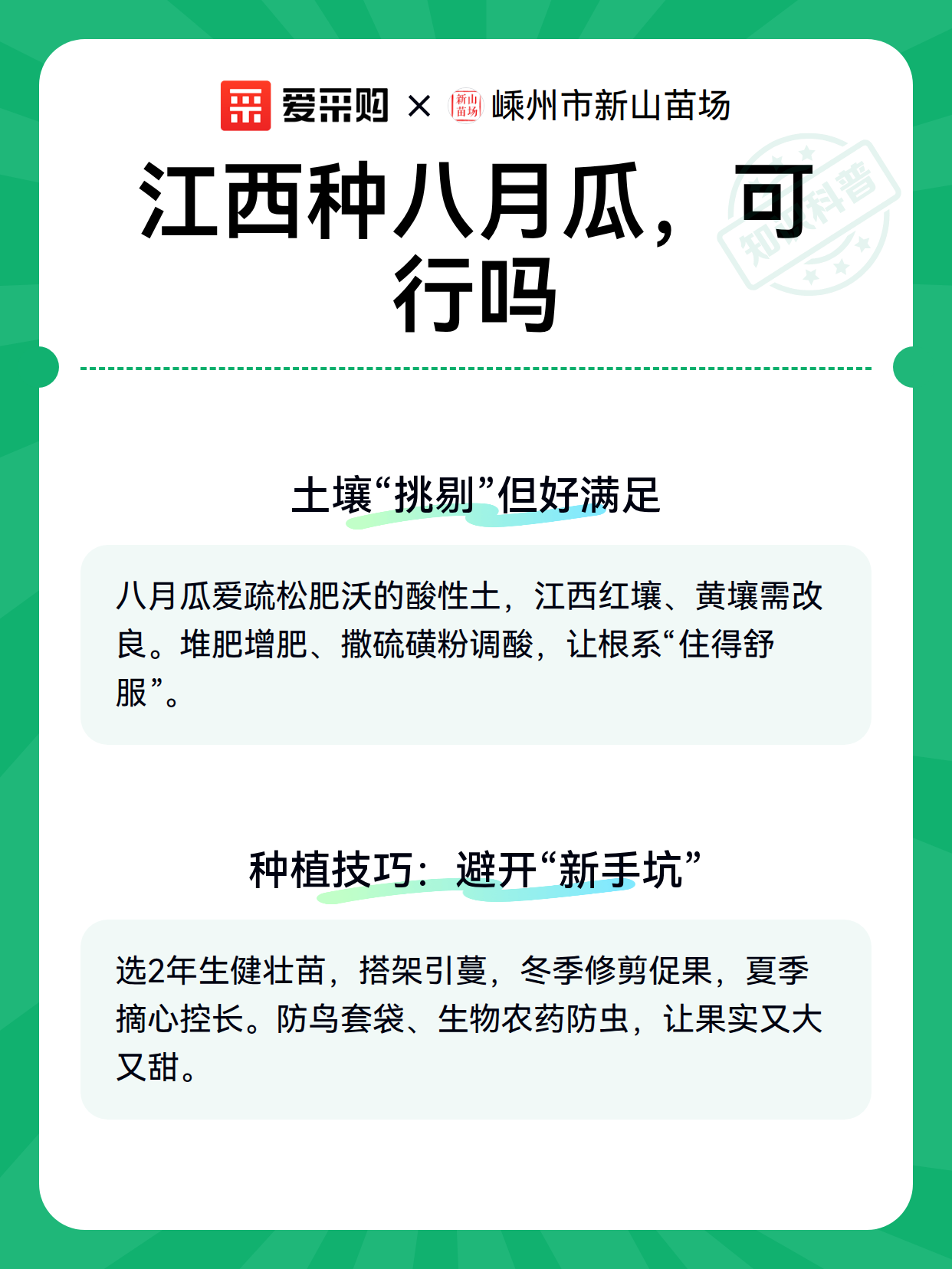江西种八月瓜，可行吗（图2）