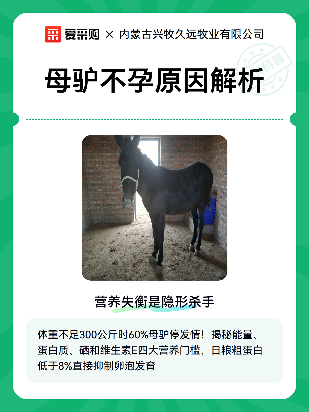 母驴不孕原因解析（图1）