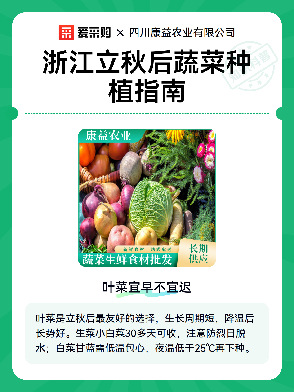 浙江立秋后蔬菜种植指南（图2）