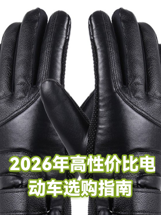 2026年高性价比电动车选购指南（图1）
