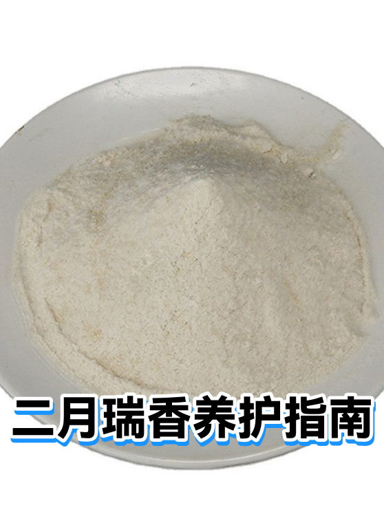 二月瑞香养护指南（图1）