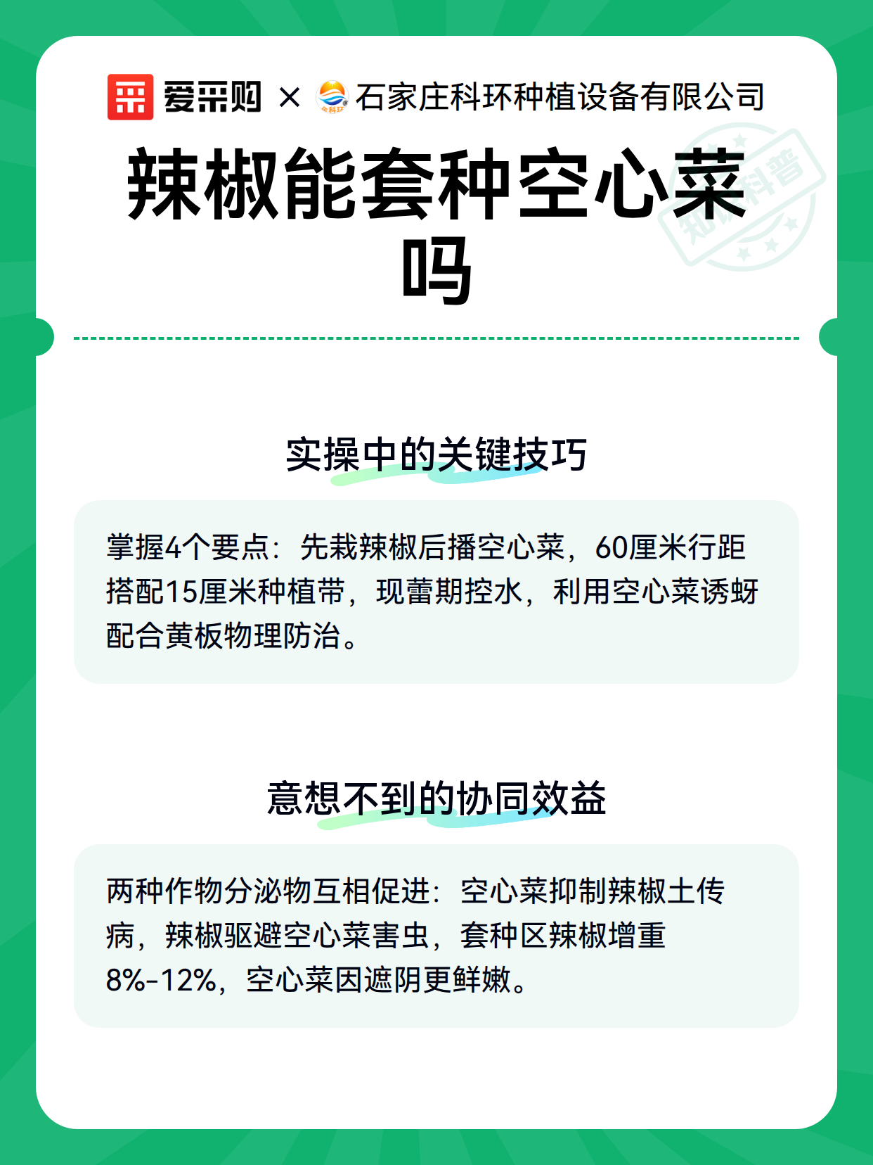 辣椒能套种空心菜吗（图3）