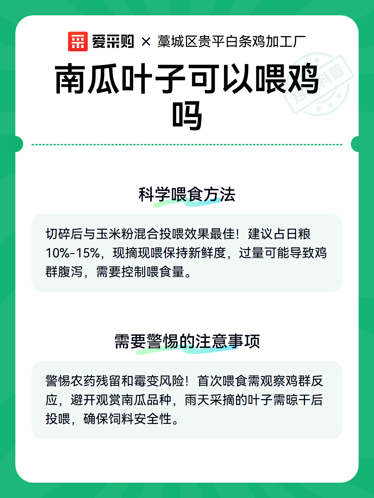 南瓜叶子可以喂鸡吗（图2）
