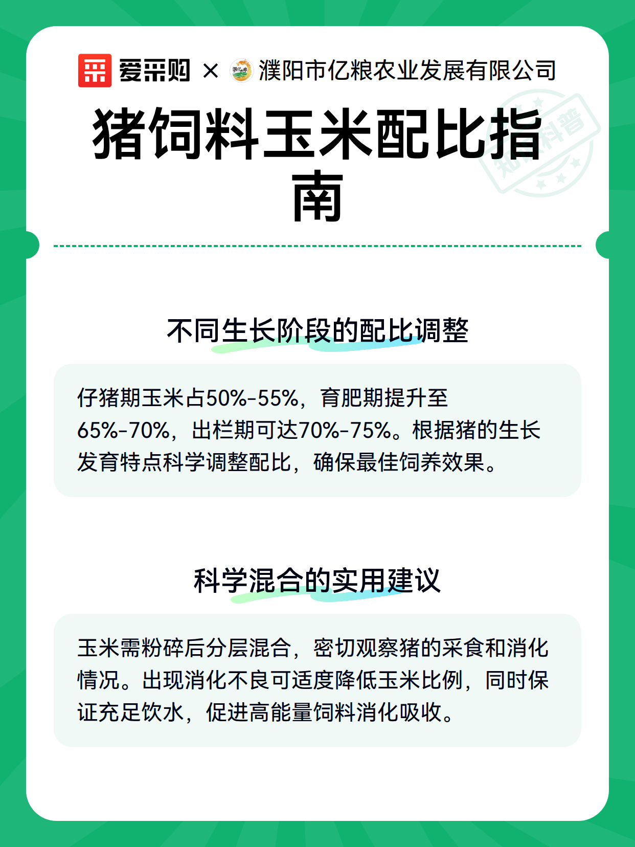 猪饲料玉米配比指南（图3）