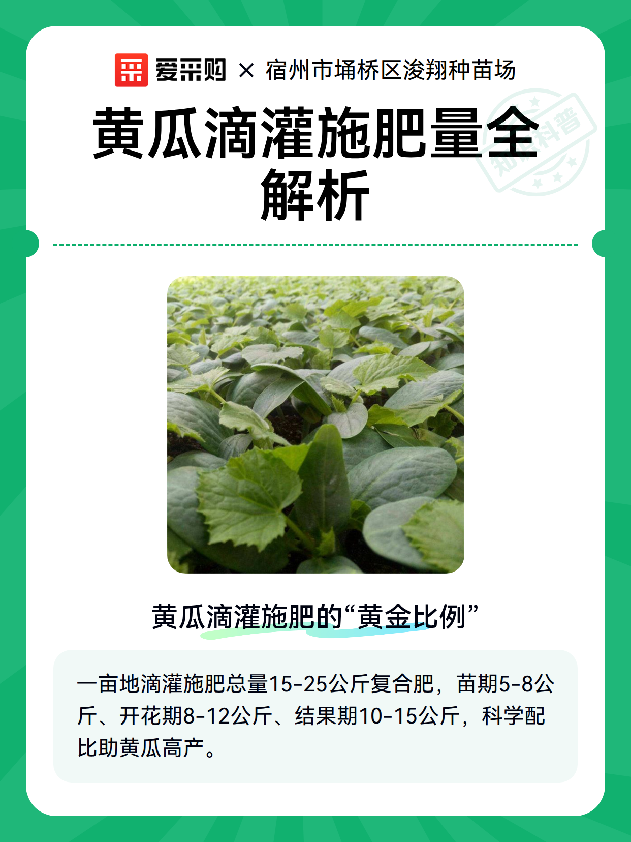 黄瓜滴灌施肥量全解析（图2）