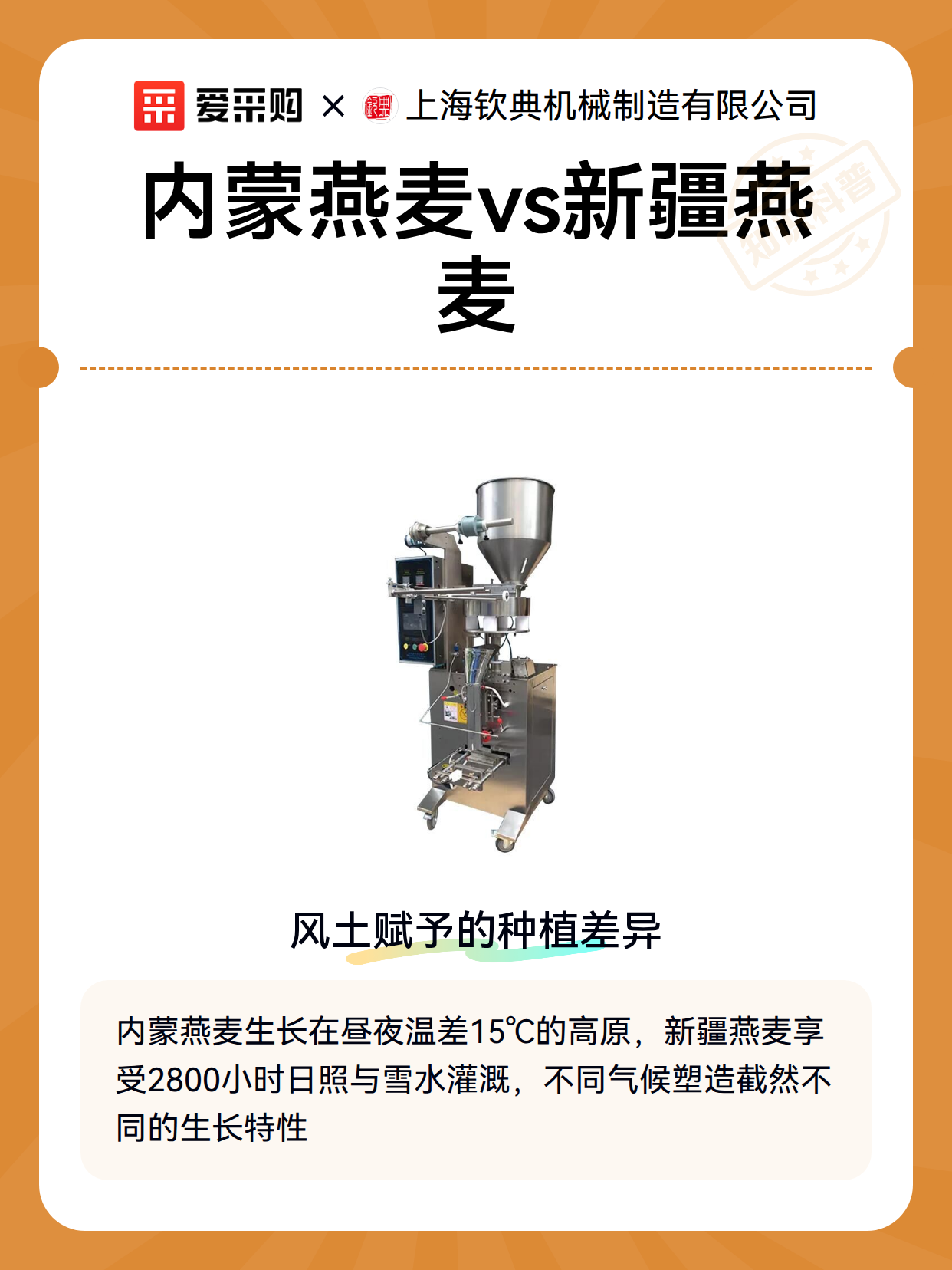 内蒙燕麦vs新疆燕麦（图2）