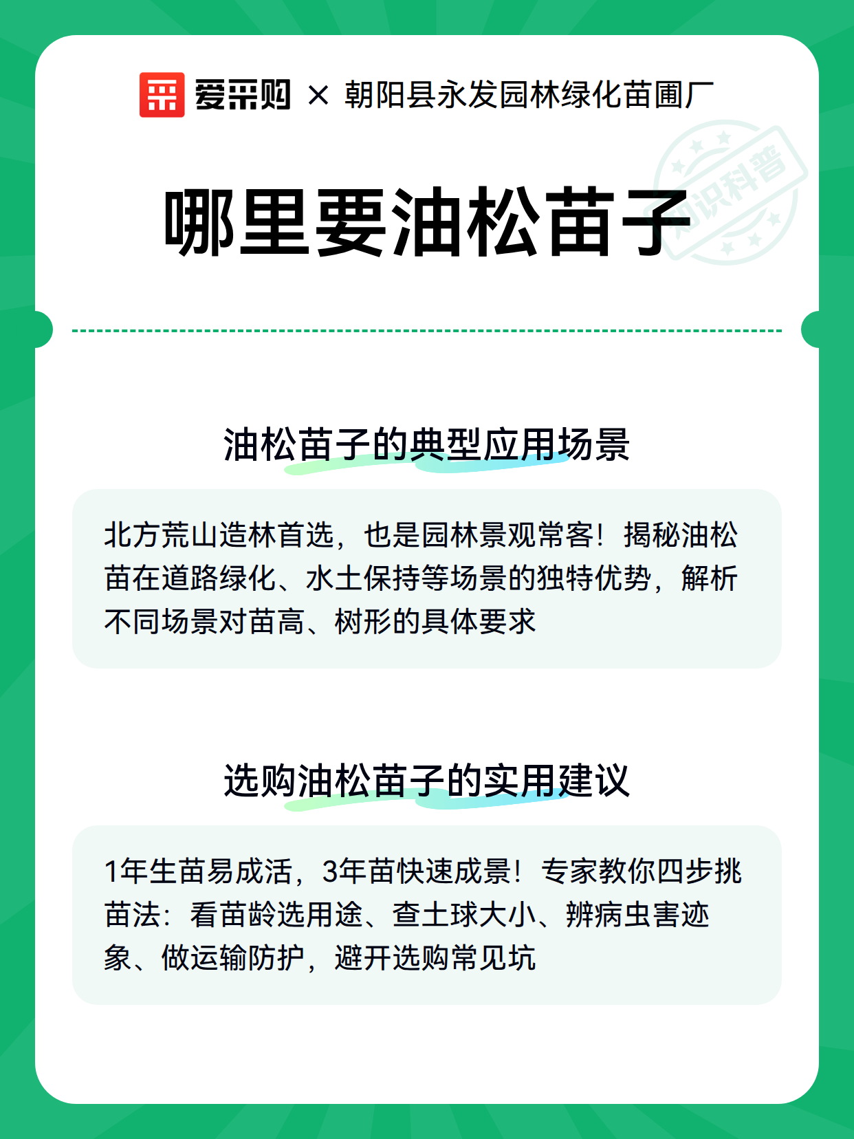 哪里要油松苗子（图3）