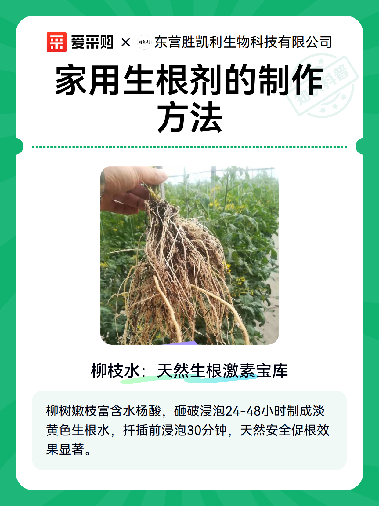 家用生根剂的制作方法（图2）