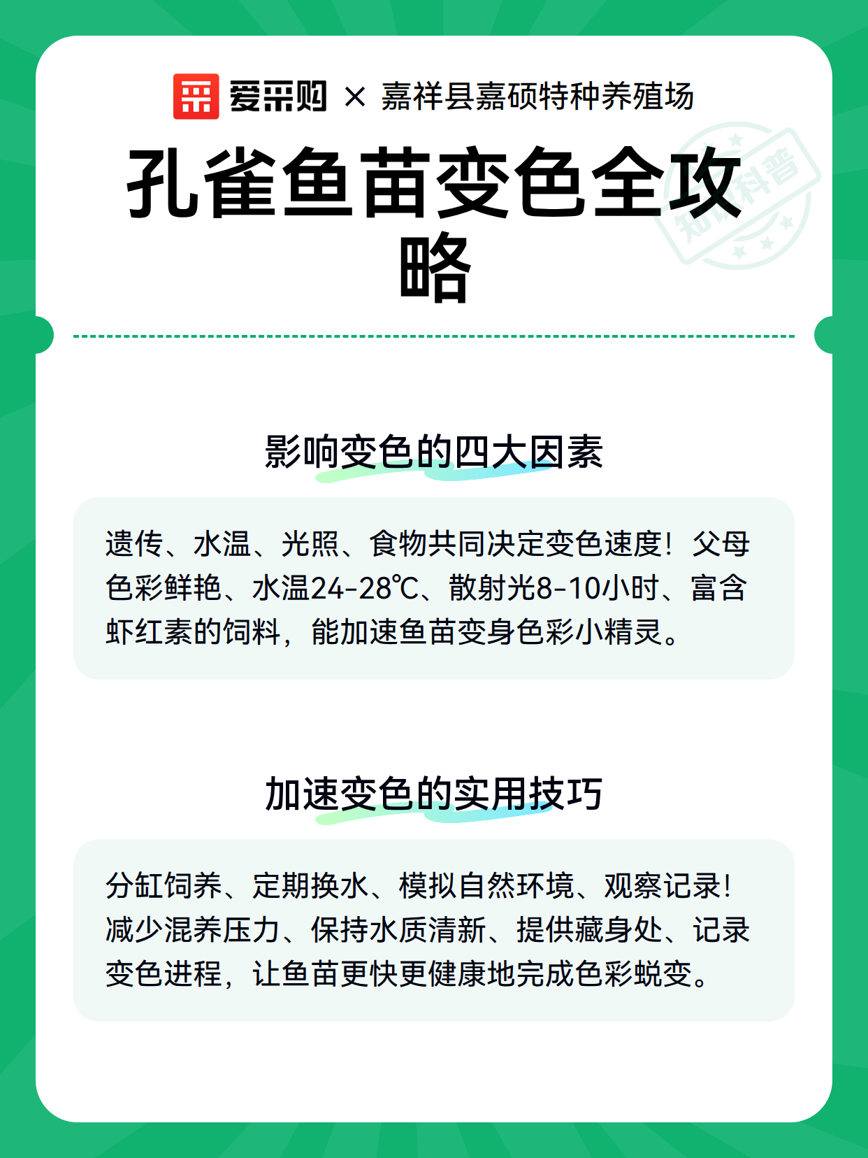孔雀鱼苗变色全攻略（图3）