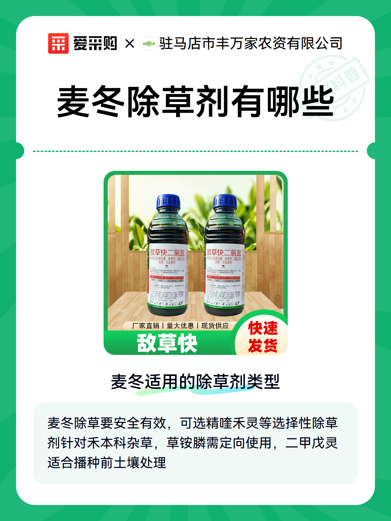 麦冬除草剂有哪些（图2）