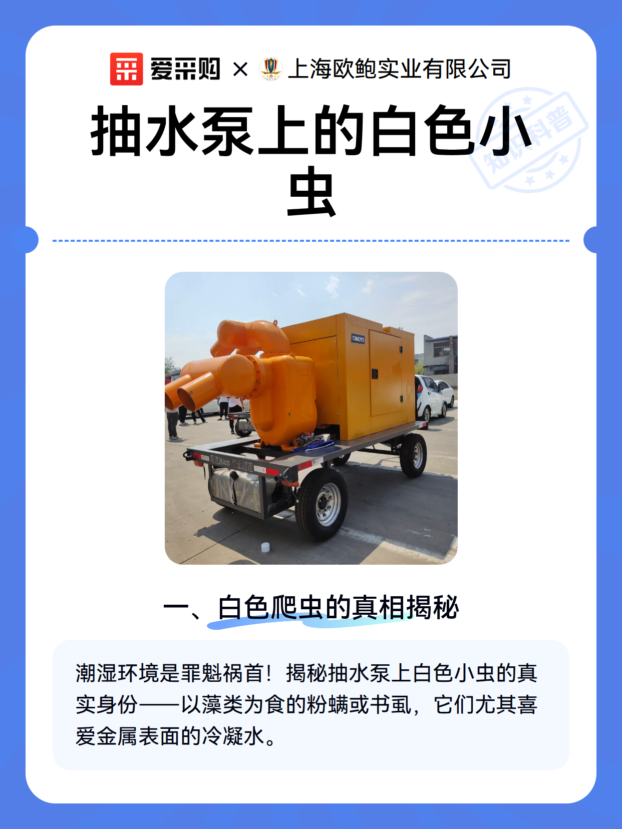 抽水泵上的白色小虫（图2）