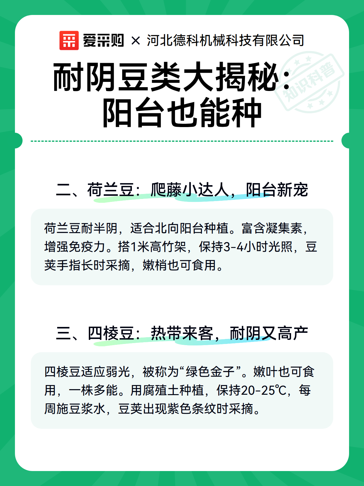 耐阴豆类大揭秘：阳台也能种（图2）