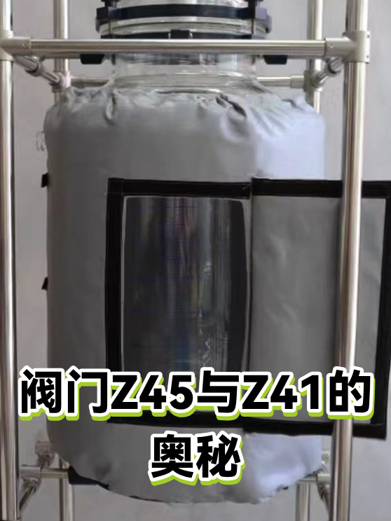 阀门Z45与Z41的奥秘（图1）