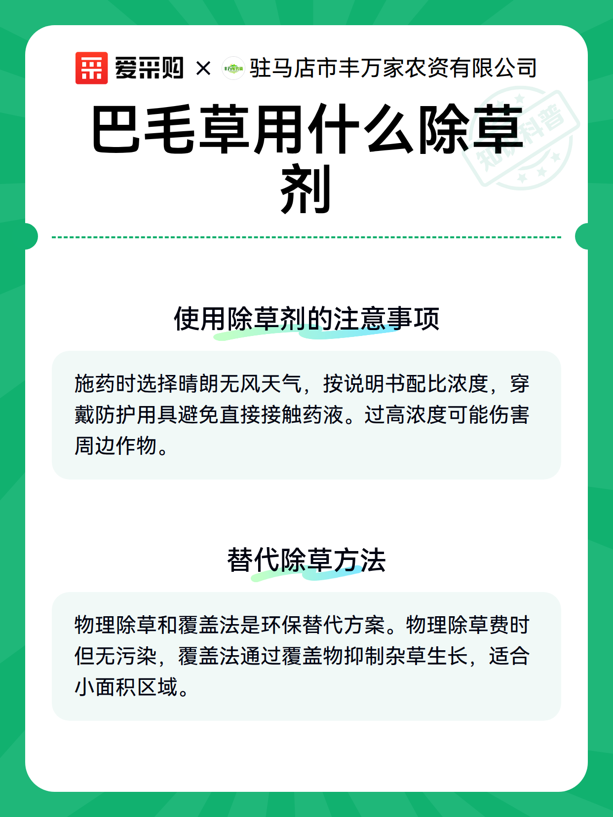 巴毛草用什么除草剂（图3）