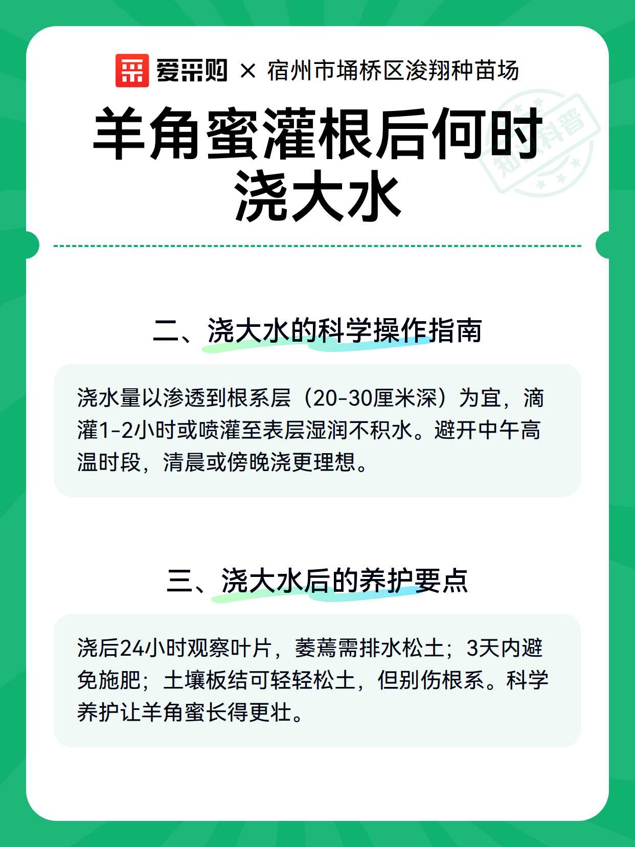 羊角蜜灌根后何时浇大水（图3）