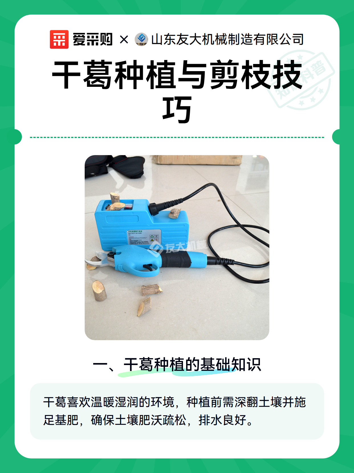 干葛种植与剪枝技巧（图1）