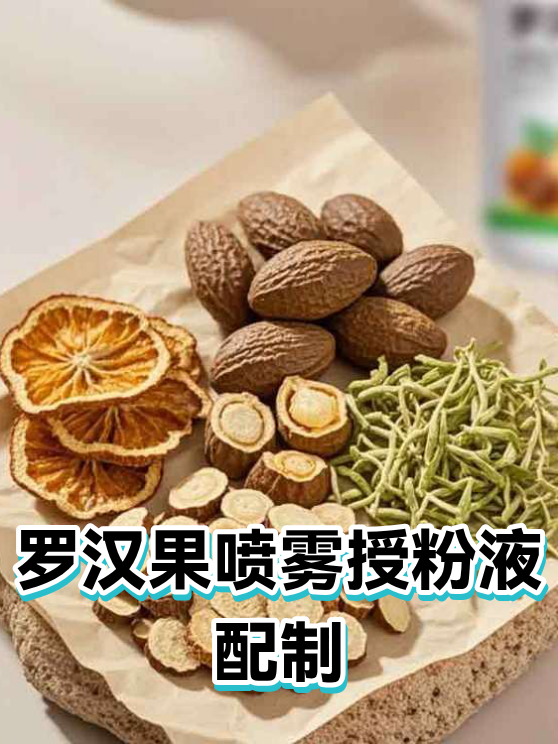 罗汉果喷雾授粉液配制（图1）