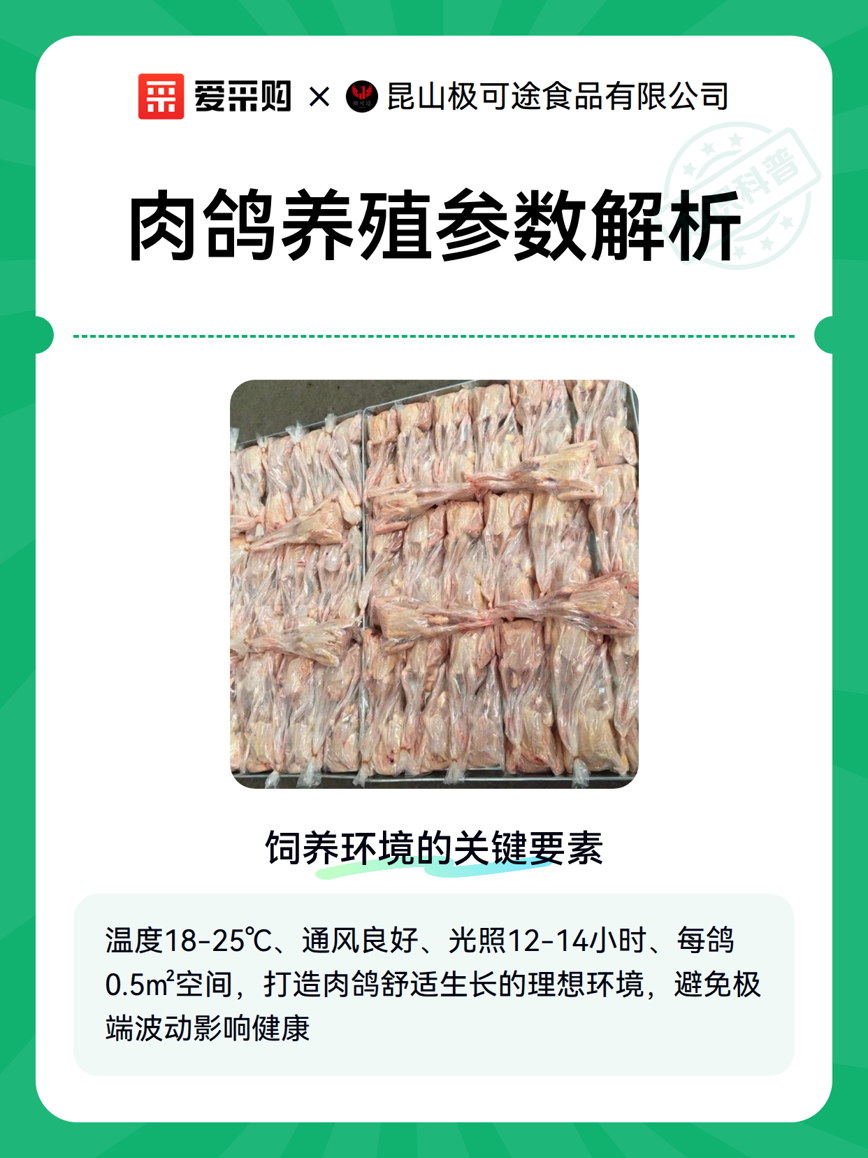 肉鸽养殖参数解析（图1）