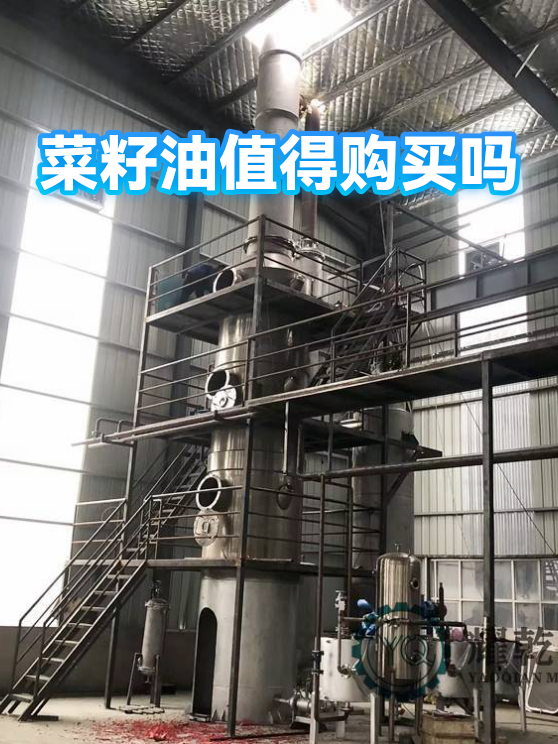 菜籽油值得购买吗（图1）