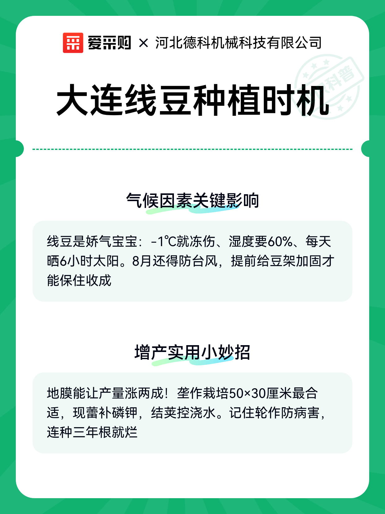 大连线豆种植时机（图2）