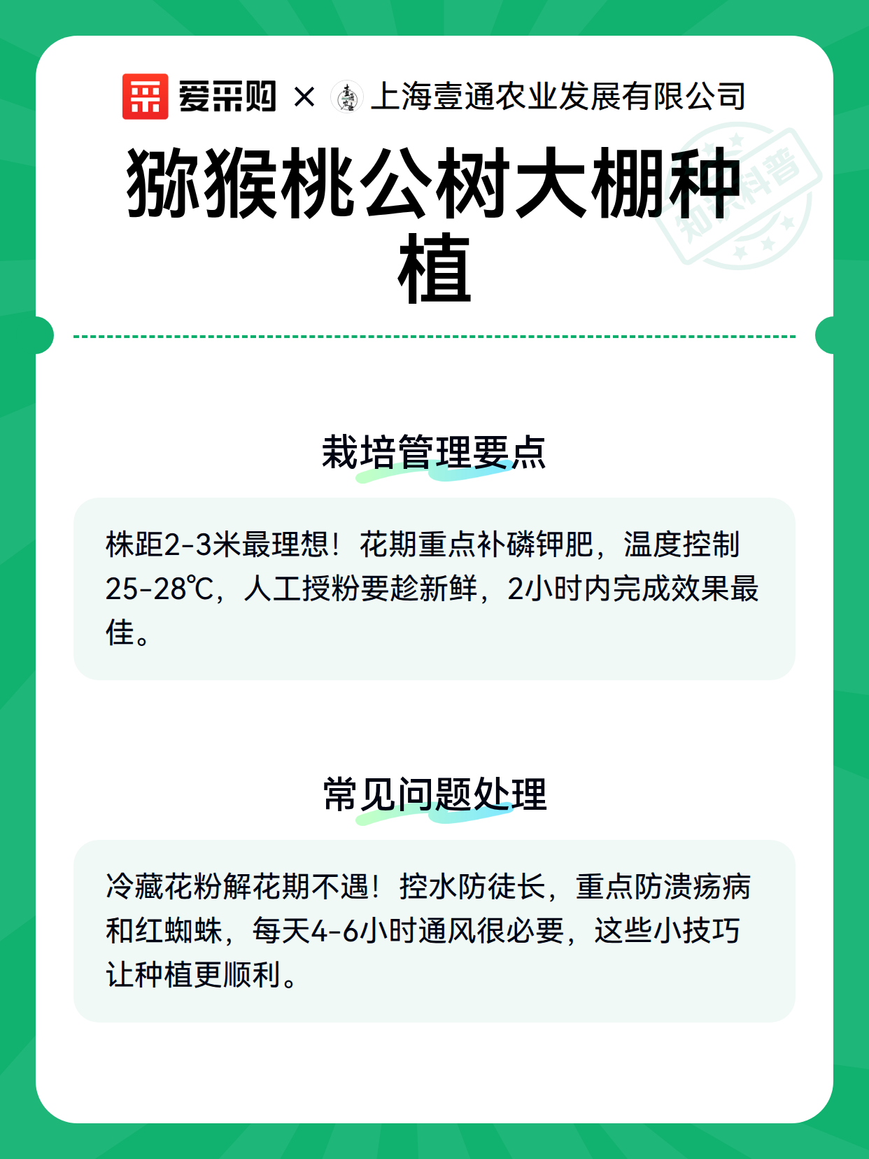 猕猴桃公树大棚种植（图3）